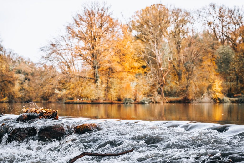 creek view