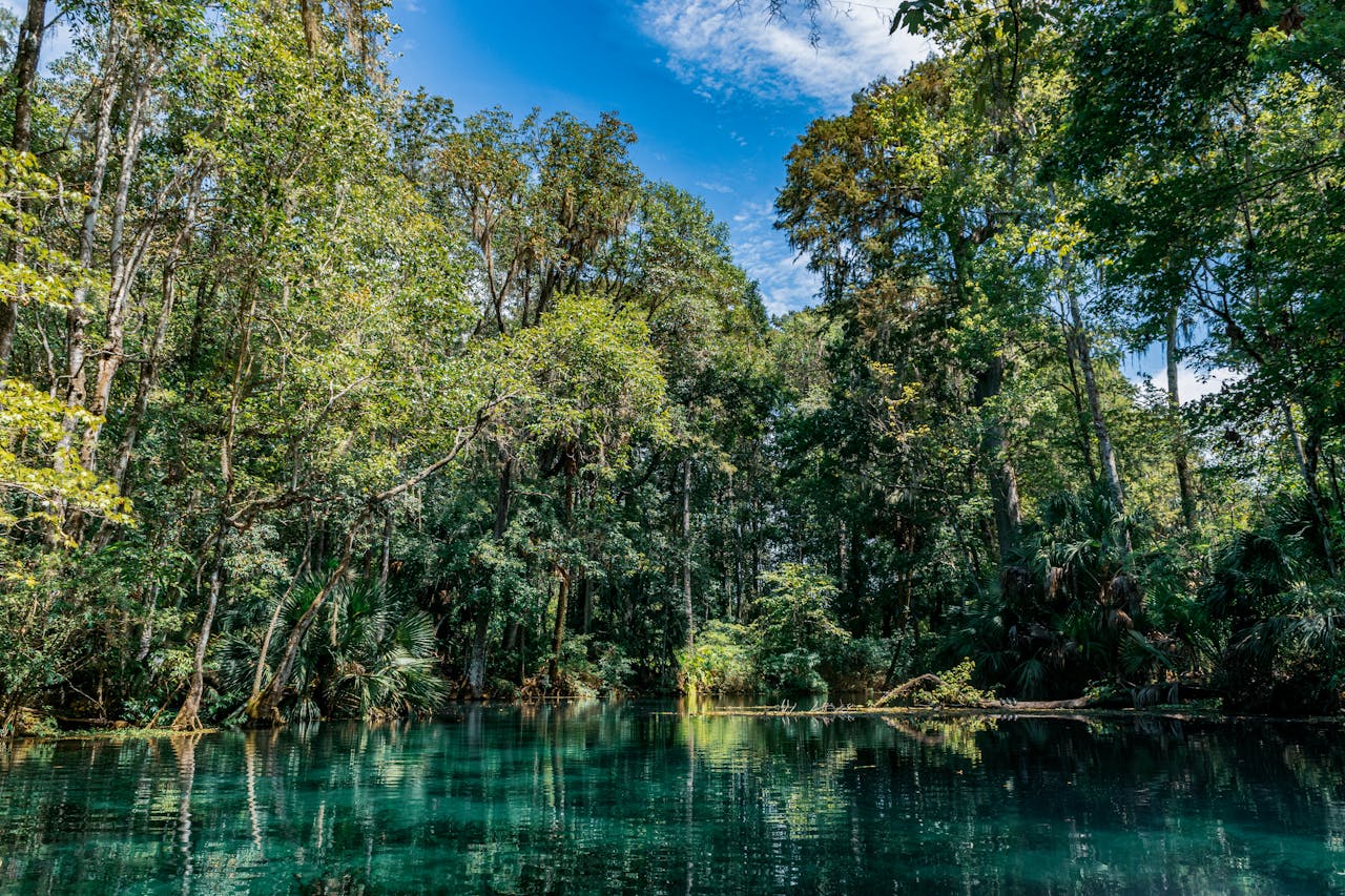 Spring Fishing in the South: Best Spots & Top Tactics
